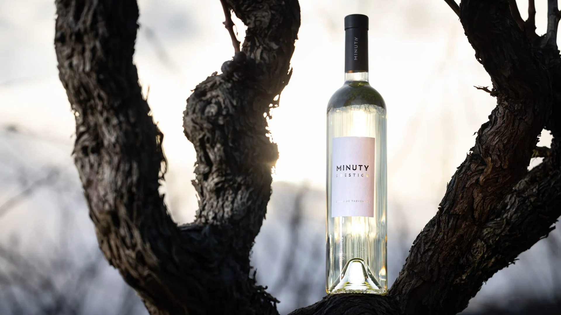 Minuty Prestige Blanc